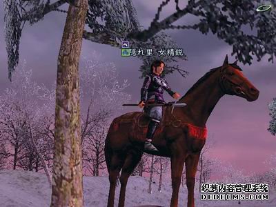 俏也不争春DD走近电子网络游戏(上)